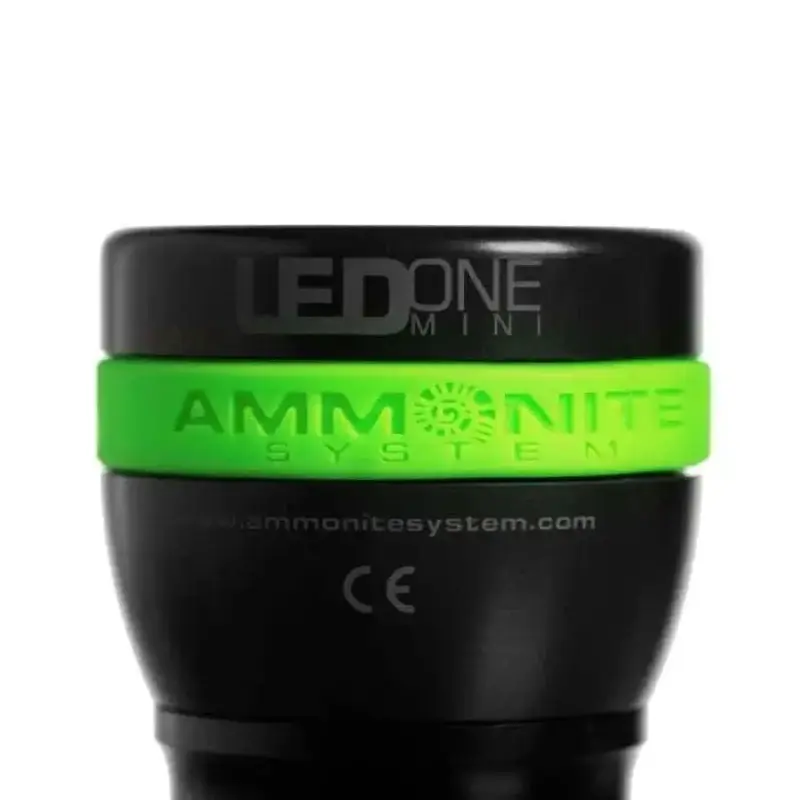 Ammonite LED One Mini