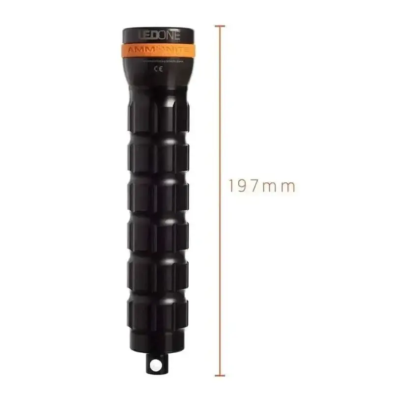 Ammonite LED One