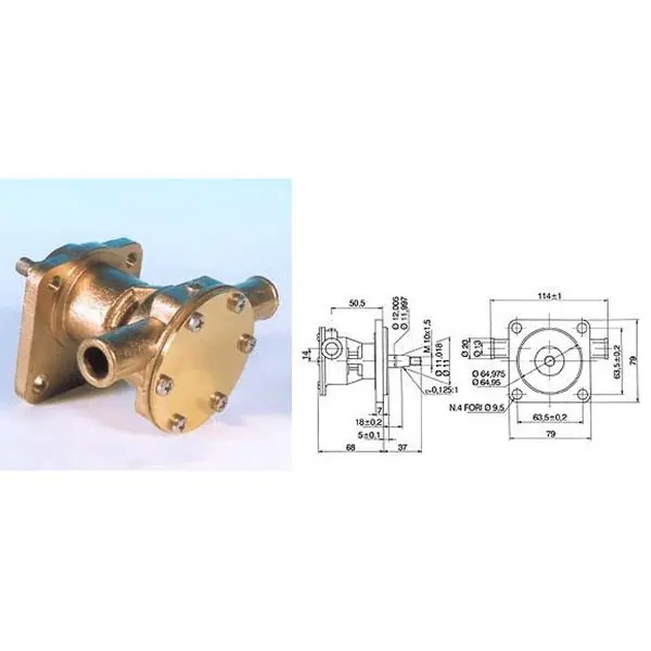 Ancor Kühlwasserpumpe mit Flansch – für Motor Typ ST123