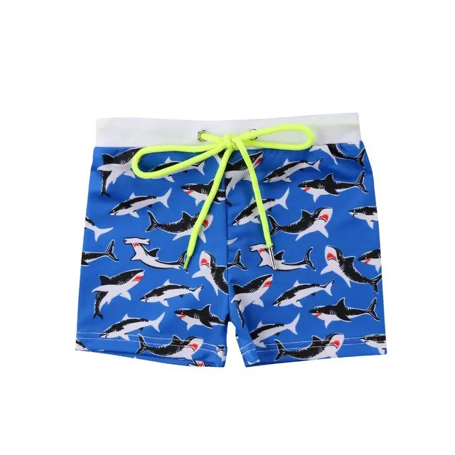 Boys Swim Shorts Swimwear