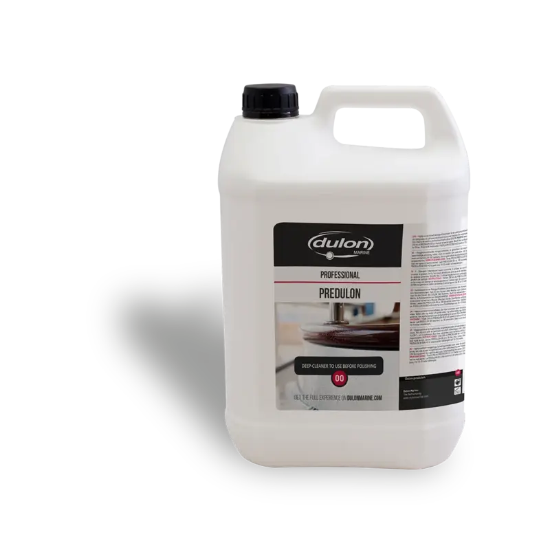 Dulon 00 Predulon Tiefenreiniger (5 L)