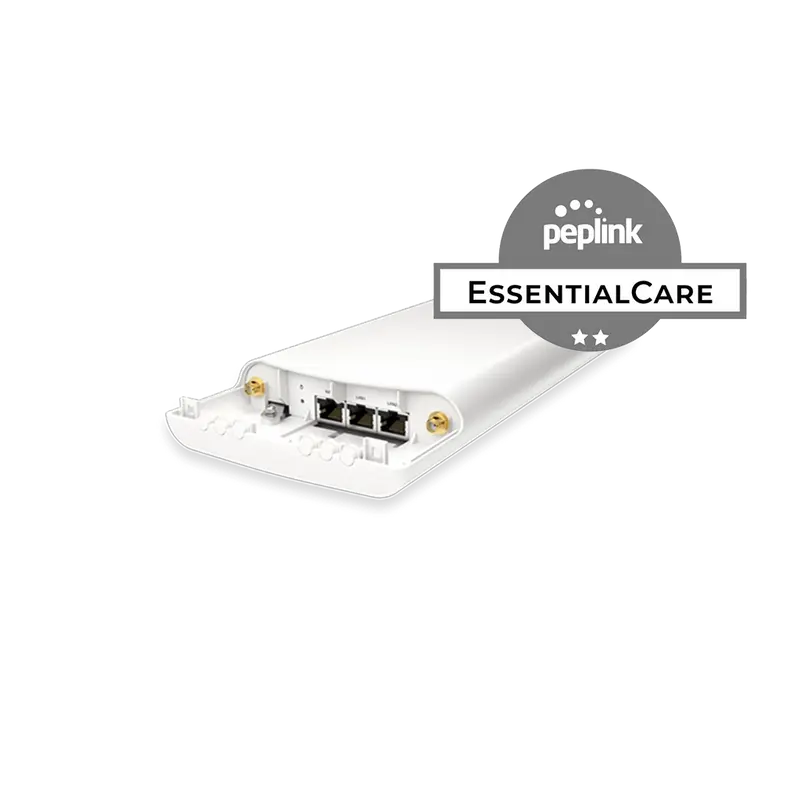 EssentialCare (1-Year) for AP One Flex 300M