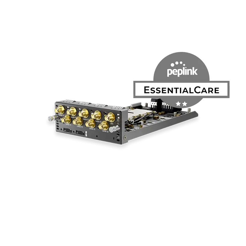EssentialCare (2-Year) for FlexModule Plus 4x LTEA