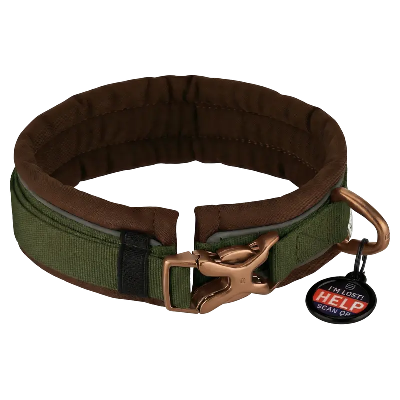 Hundehalsband