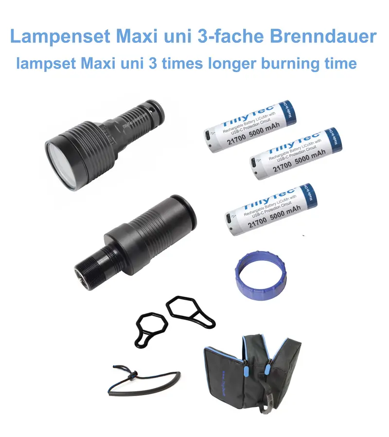 Lampenset Maxi uni + LED Modul nach Wahl mit 3 facher Brenndauer & Goodman