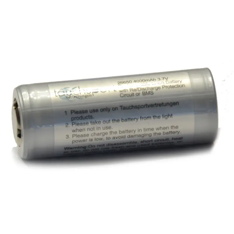 Lithium-Ionen Ersatzakku