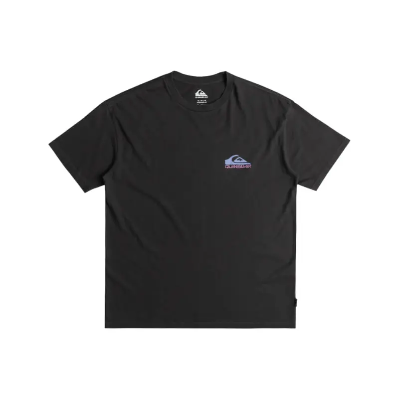 Quiksilver Take Us Back Logo SS T-Shirt schwarz