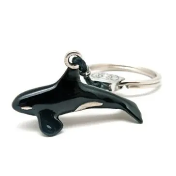 Real Silver Key chain