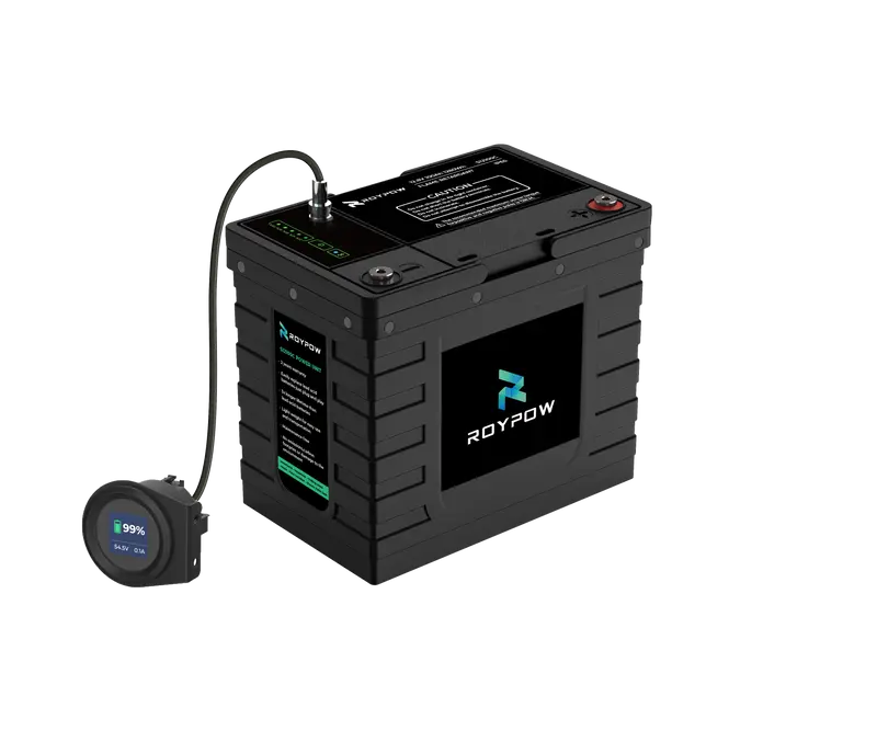 RoyPow IP65 S-Serie Batterie 12V 100Ah, LiFePO4