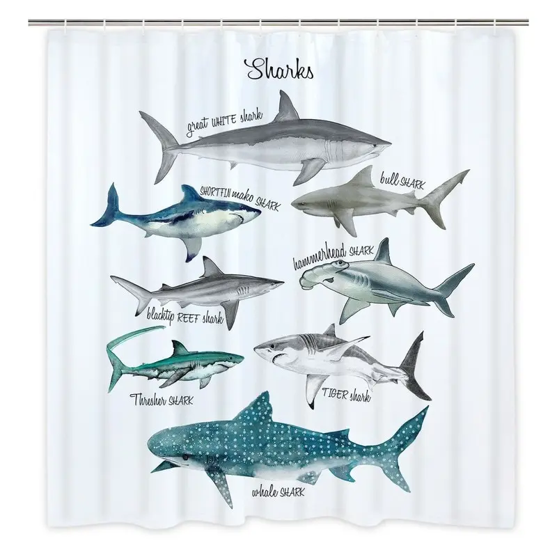 Shower Curtain