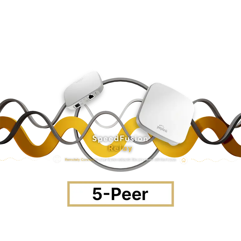 SpeedFusion Relay License (5-peer)