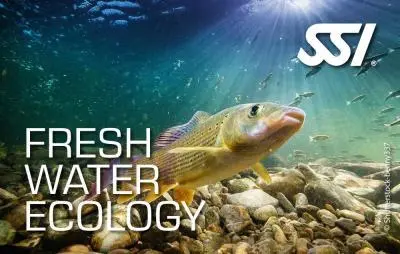 SSI Fresh Water Ecology