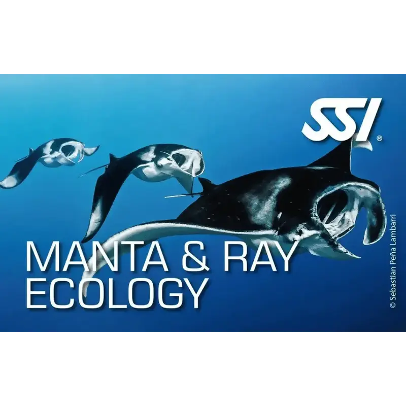 SSI Manta & Ray Ecology Kurs