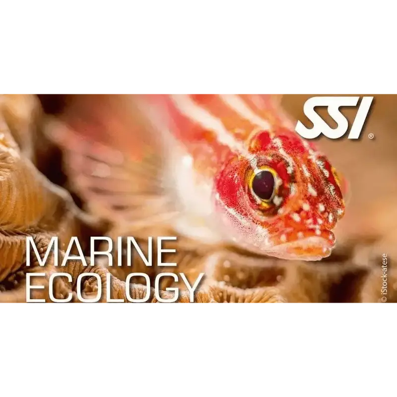SSI Marine Ecology Kurs