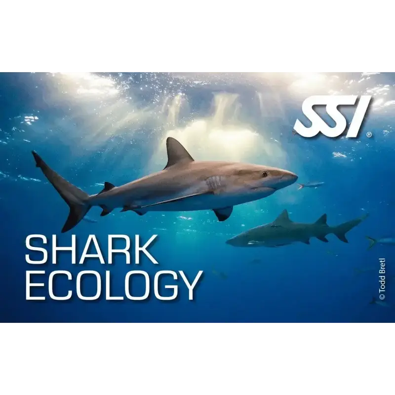SSI Shark Ecology Kurs