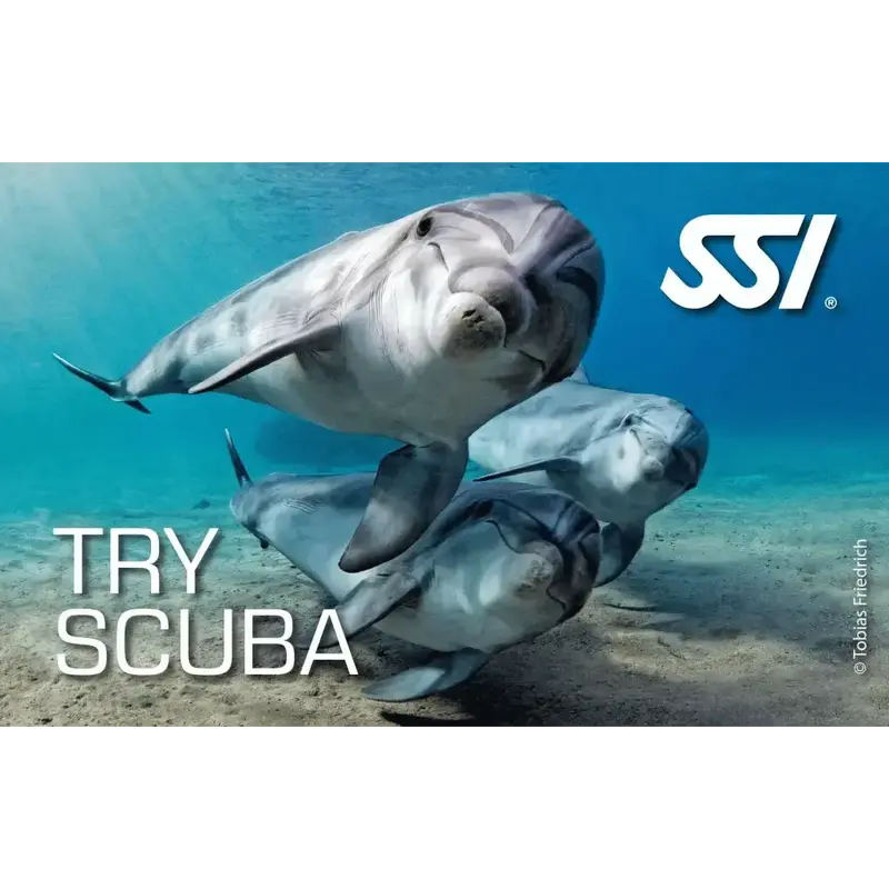 SSI Try Scuba VIP Kurs